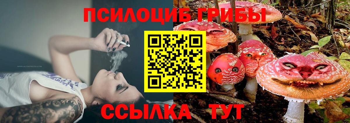 Галлюциногенные грибы Cubensis  Вход с VPN  Новодвинск 