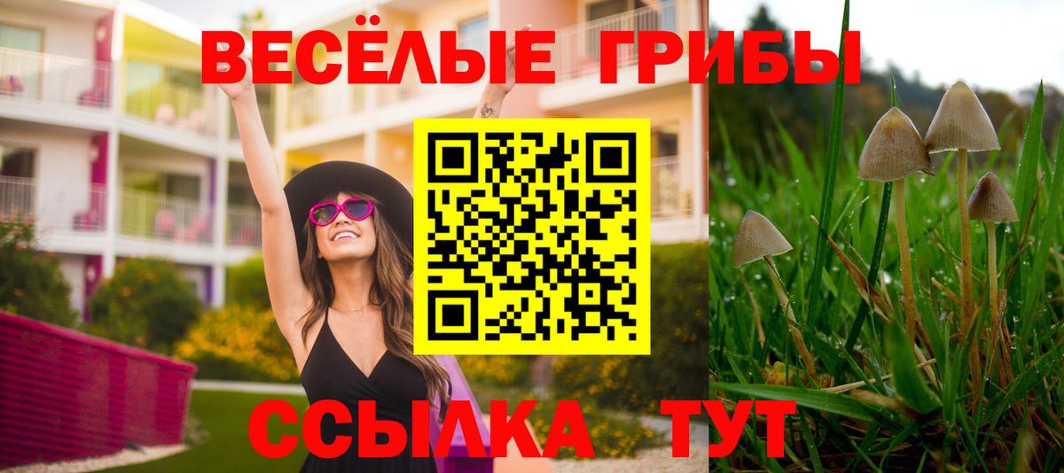 Псилоцибиновые грибы мухоморы Новодвинск